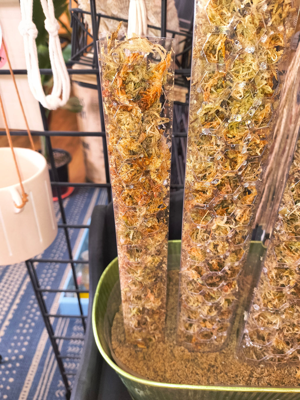 Geometric Moss Pole - Fillable Plant Support