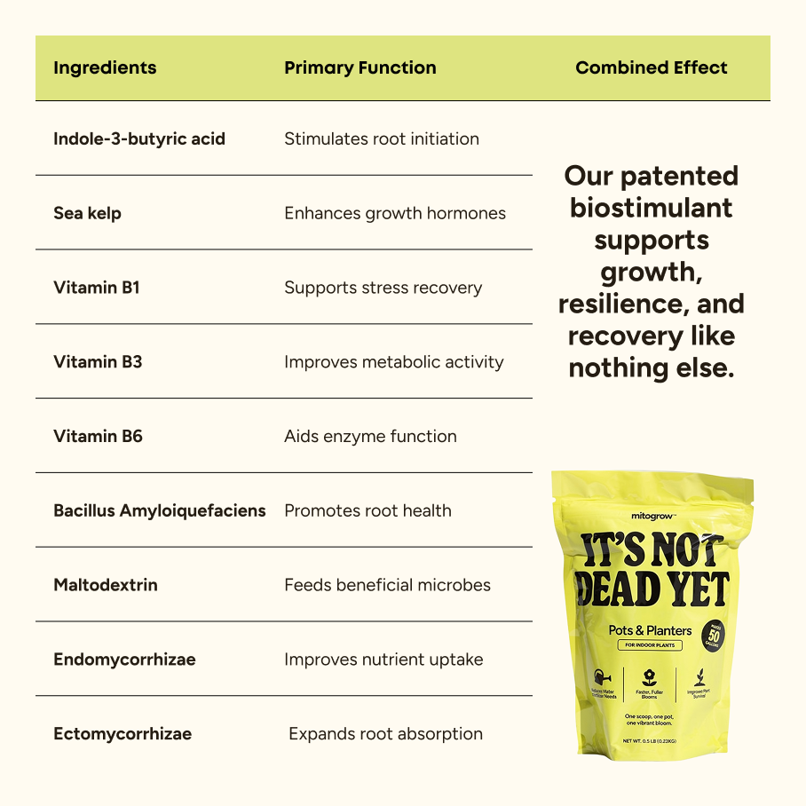 It's Not Dead Yet Plant Food - Soluble Plant Food for Indoor and Outdoor