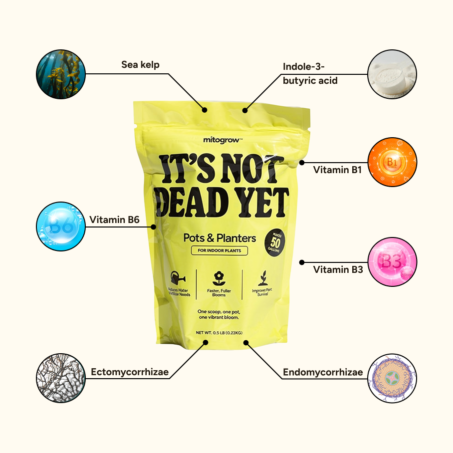It's Not Dead Yet Plant Food - Soluble Plant Food for Indoor and Outdoor