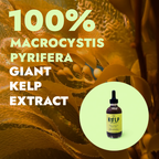 Ocean Made Kelp Drops - Plant Growth Concentrate