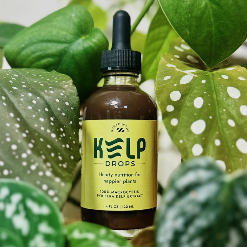 Ocean Made Kelp Drops - Plant Growth Concentrate