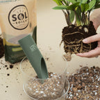 Houseplant Chunky Mix - Sol Soils