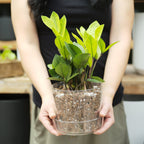 Houseplant Chunky Mix - Sol Soils