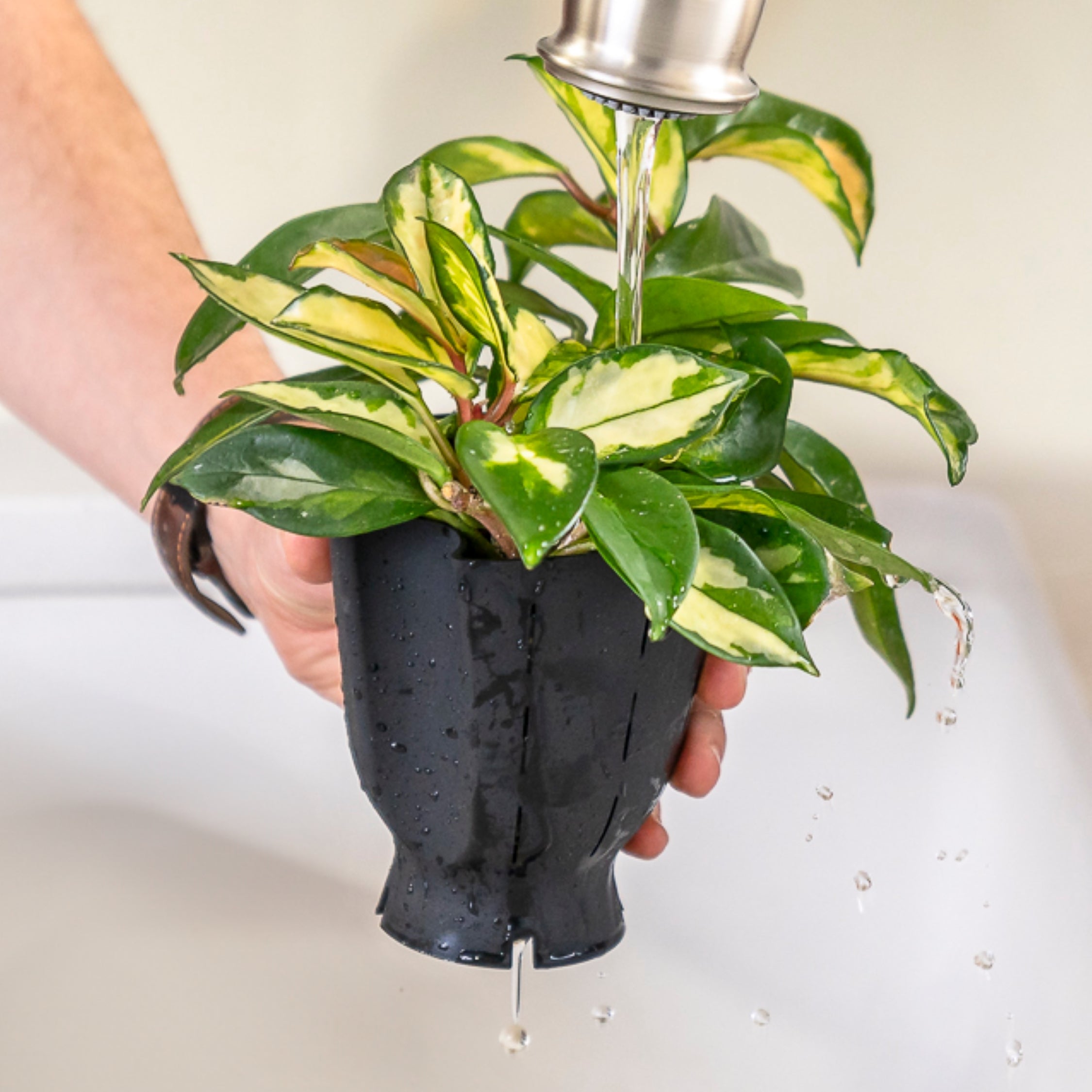Ceramic Plant Pot - Rubber Liner