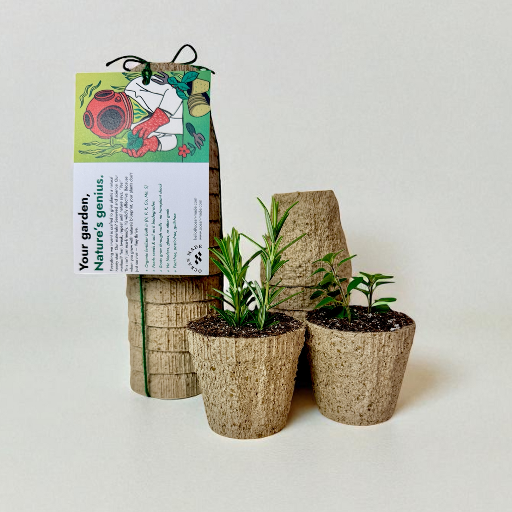 Ocean Made Kelp Pots - 3 Inch Round, Biodegradable