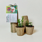 Ocean Made Kelp Pots - 3 Inch Round, Biodegradable