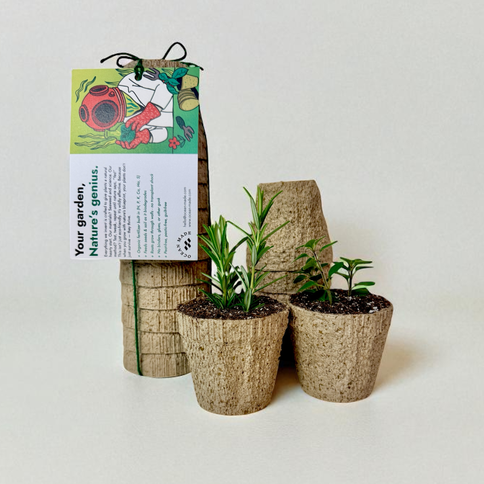 Ocean Made Kelp Pots - 3 Inch Round, Biodegradable