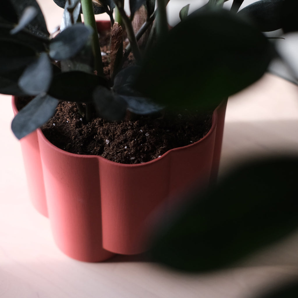 The Pillar Planter - Ceramic, 6 Inch