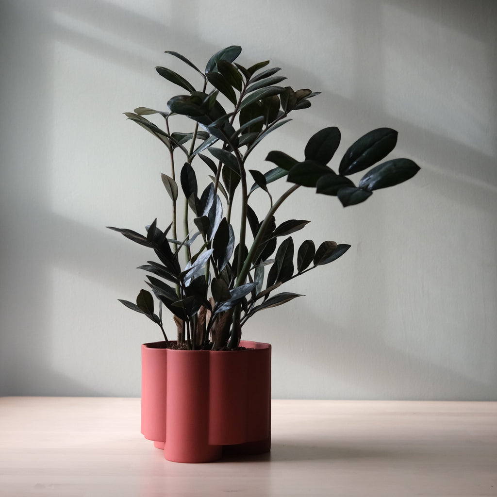 The Pillar Planter - Ceramic, 6 Inch