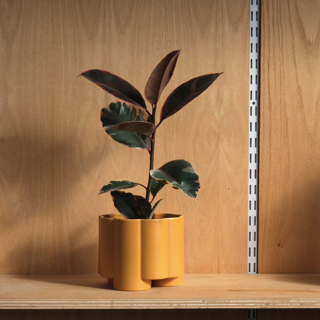 The Pillar Planter - Ceramic, 6 Inch
