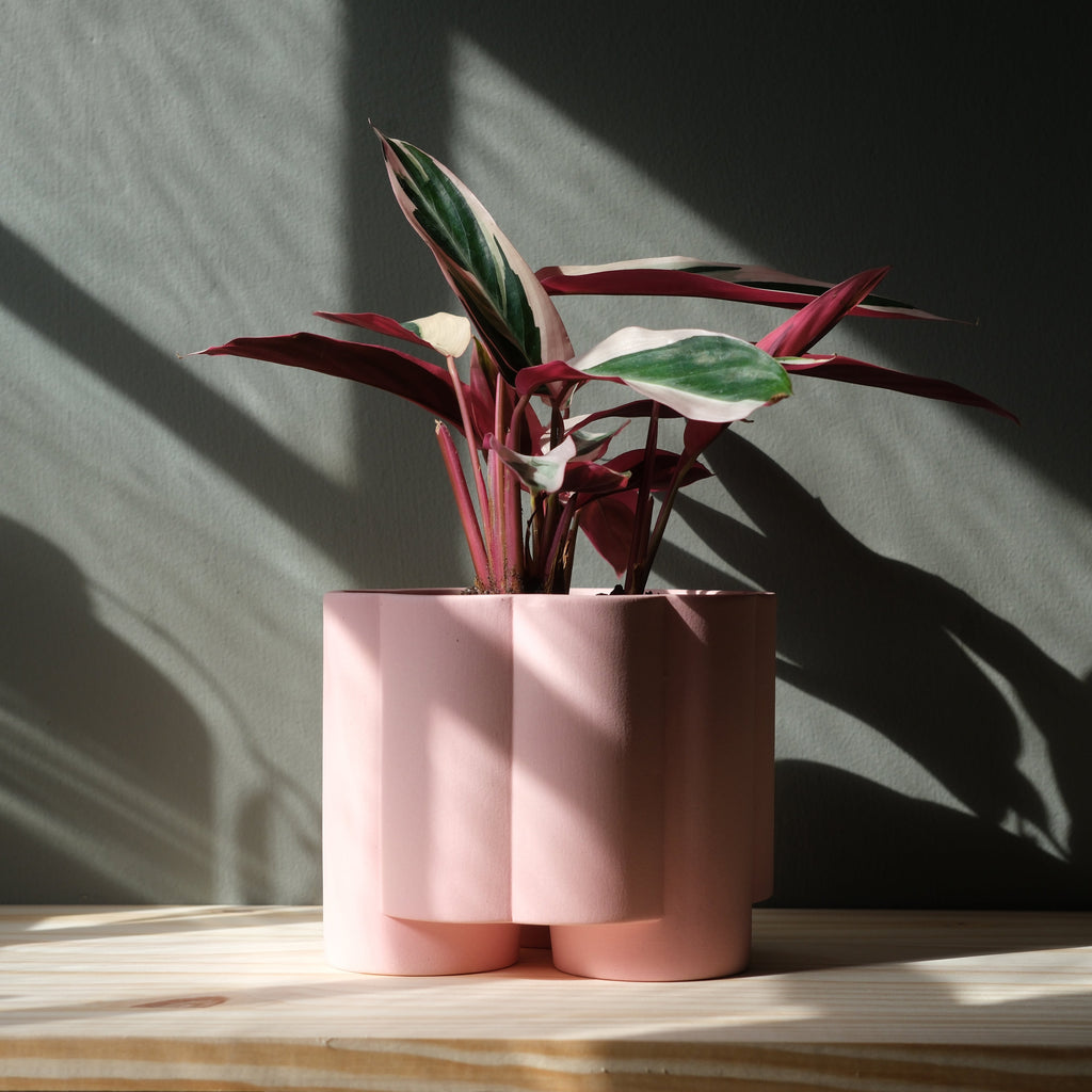 The Pillar Planter - Ceramic, 6 Inch
