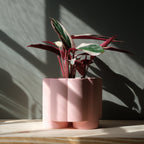 The Pillar Planter - Ceramic, 6 Inch