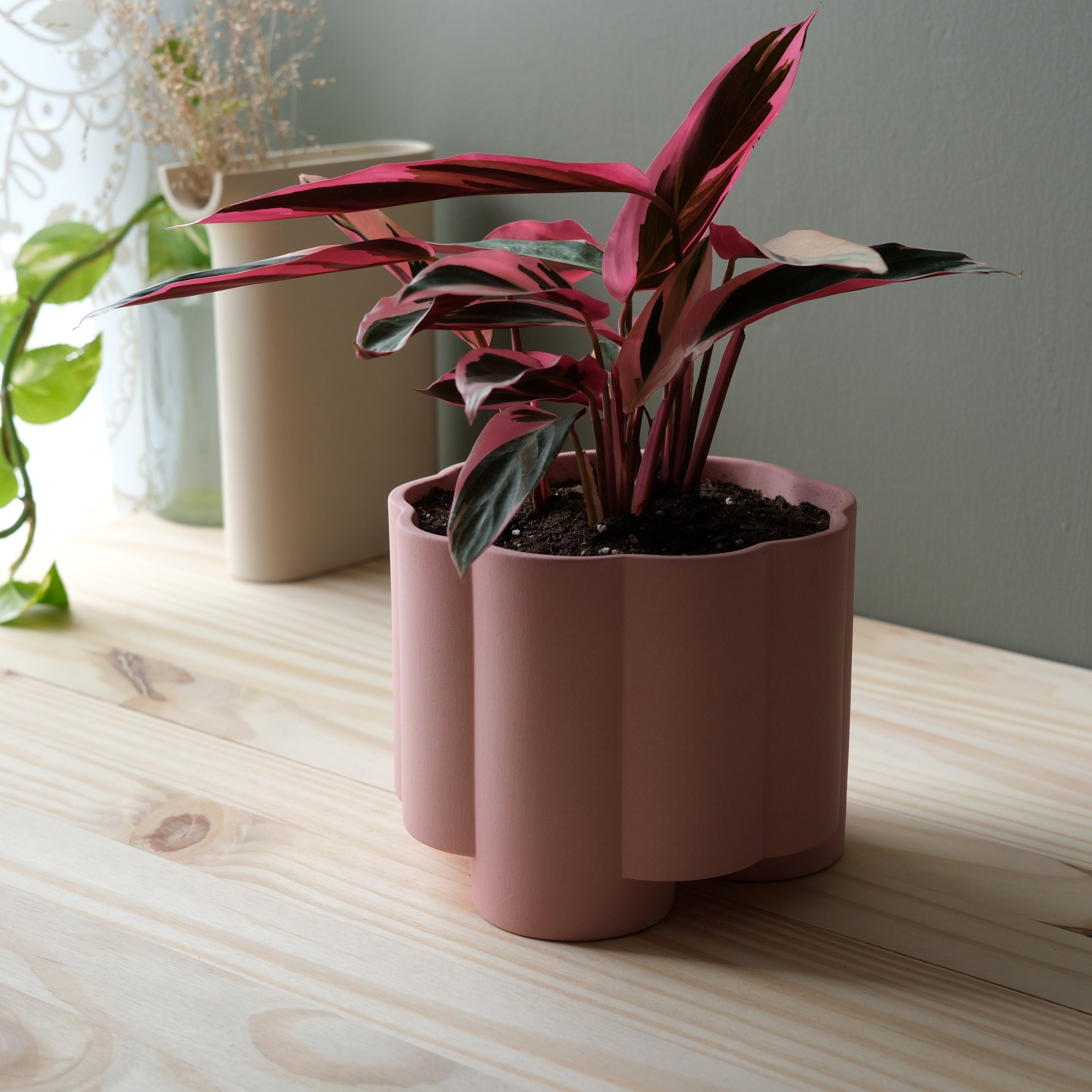 The Pillar Planter - Ceramic, 6 Inch