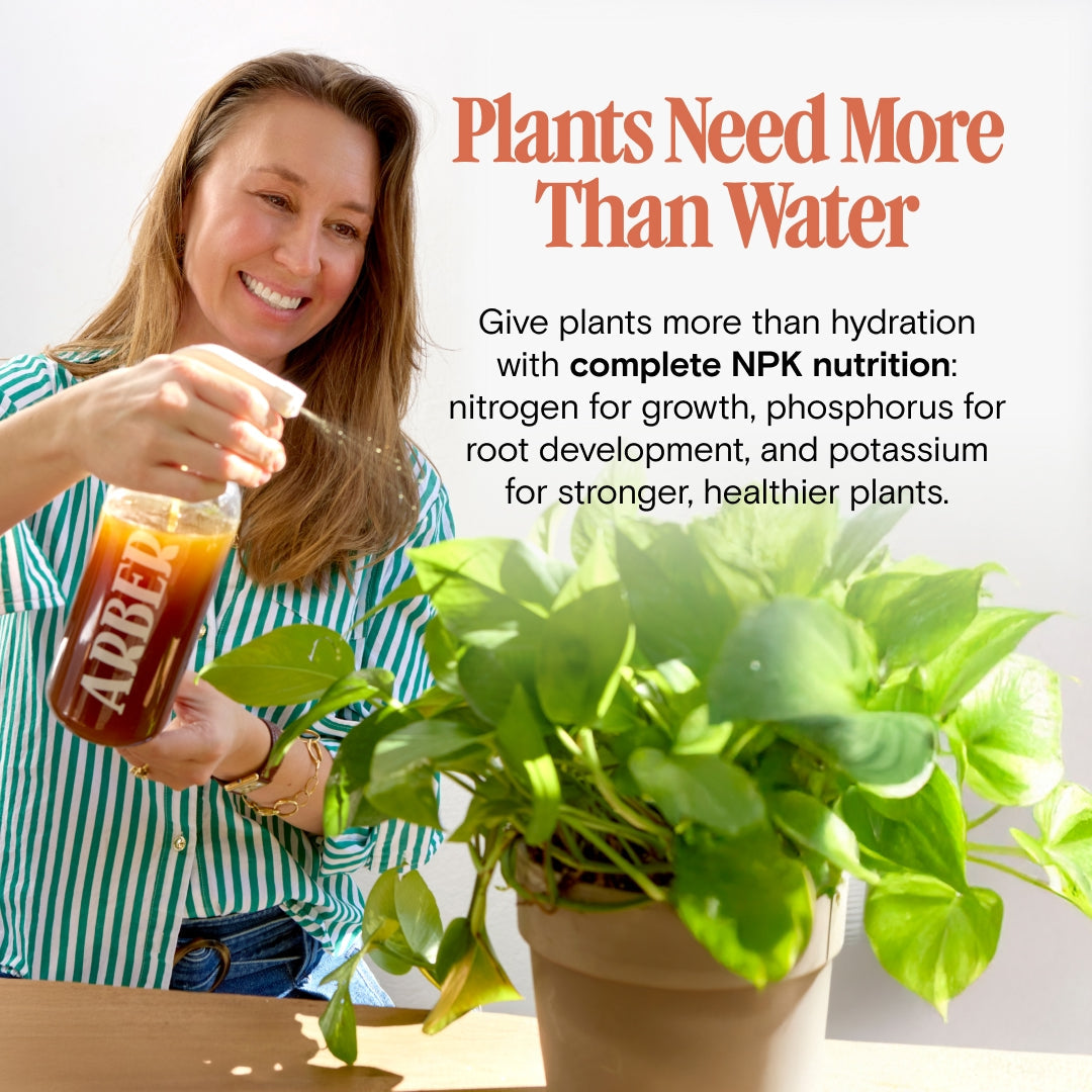 Organic Plant Food - Arber, 3-2-1 NPK