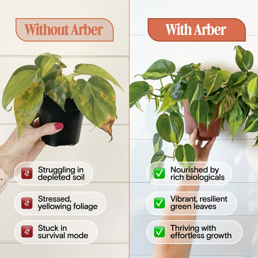 Organic Plant Food - Arber, 3-2-1 NPK