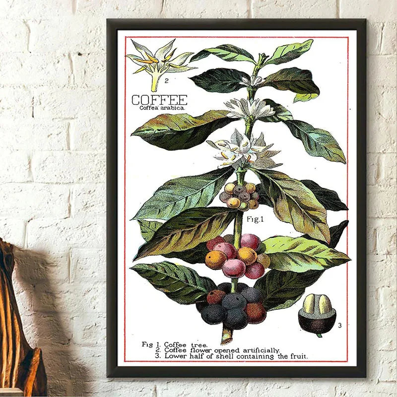 Botanical Wall Art - Set of 1 Print
