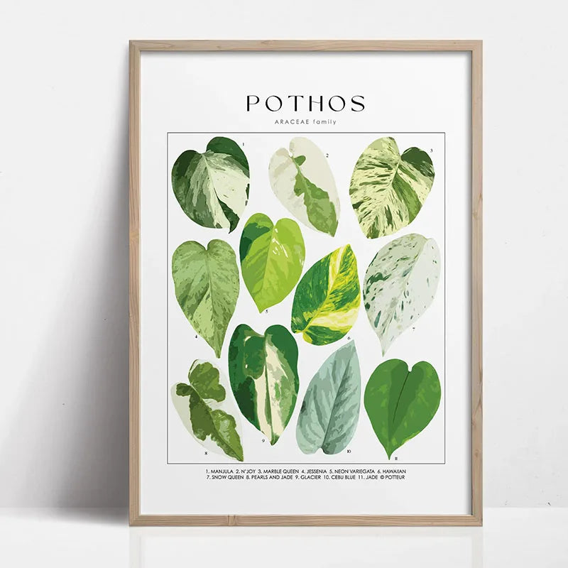 Botanical Wall Art - Set of 1 Print