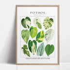 Botanical Wall Art - Set of 1 Print