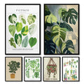 Botanical Wall Art - Set of 1 Print