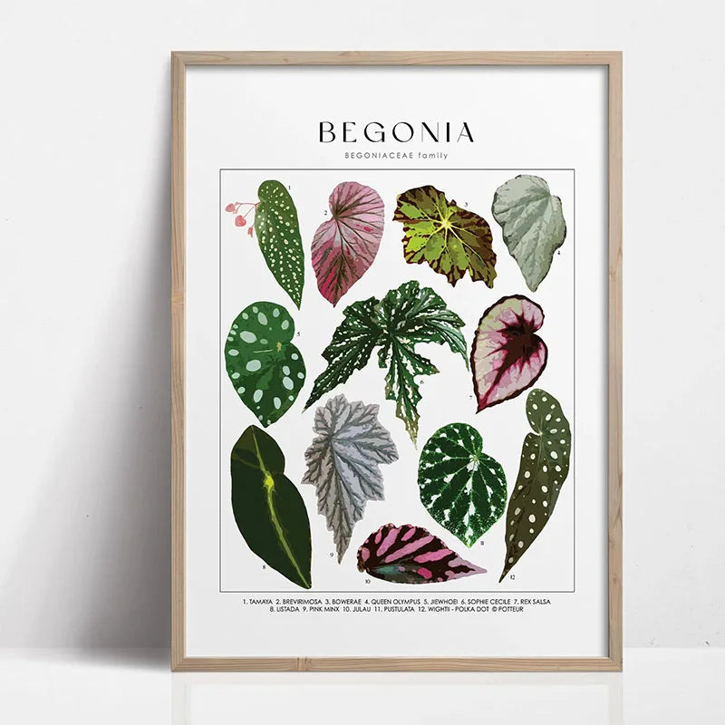 Botanical Wall Art - Set of 1 Print