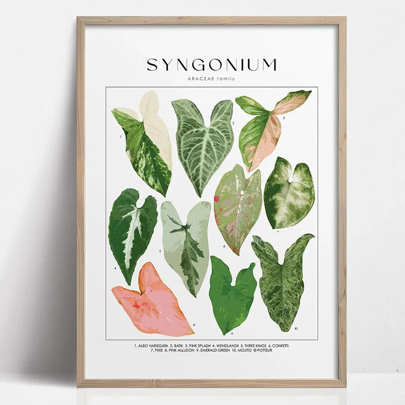 Botanical Wall Art - Set of 1 Print