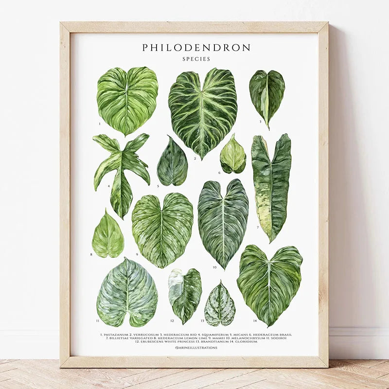 Botanical Wall Art - Set of 1 Print