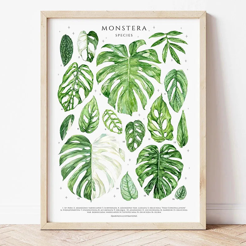 Botanical Wall Art - Set of 1 Print