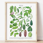 Botanical Wall Art - Set of 1 Print