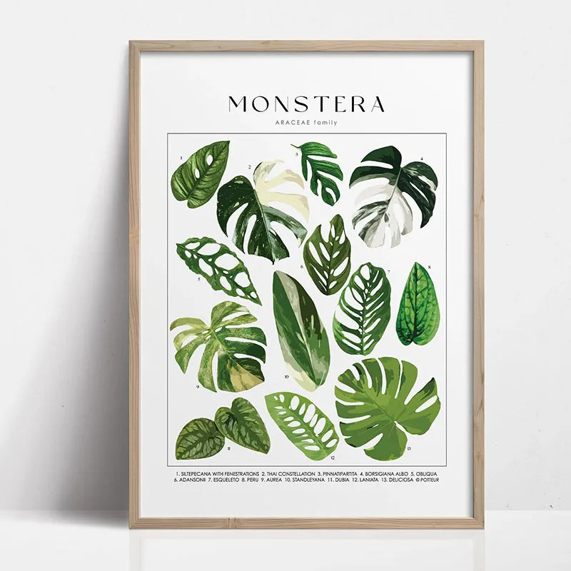 Botanical Wall Art - Set of 1 Print