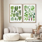 Botanical Wall Art - Set of 1 Print