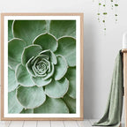 Botanical Wall Art - Set of 1 Print