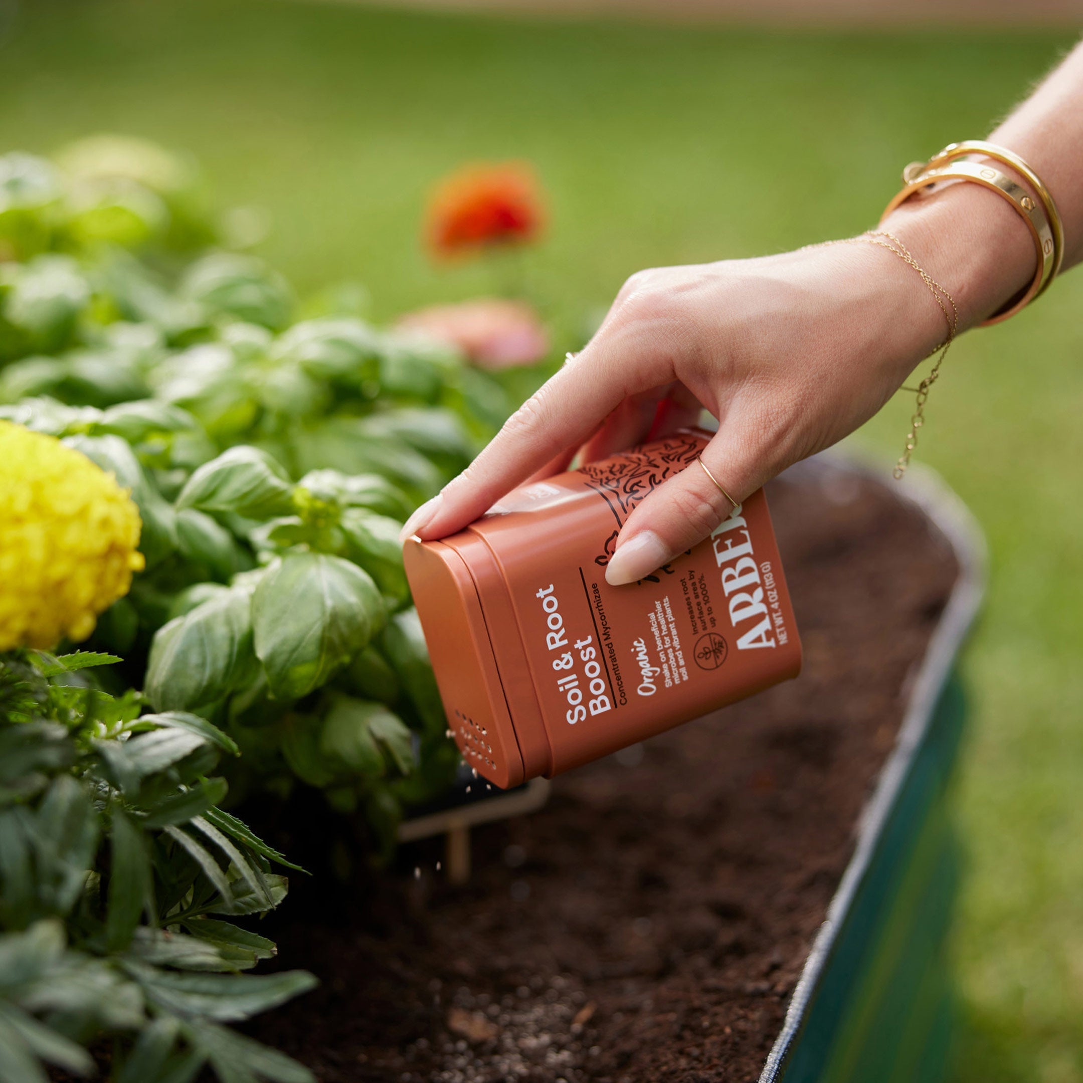 Organic Soil & Root Boost - Arber