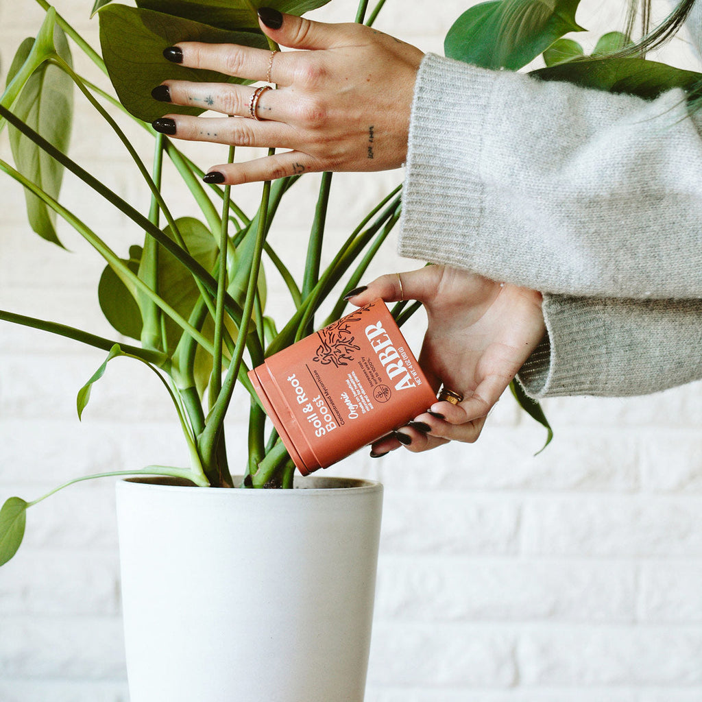 Organic Soil & Root Boost - Arber