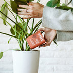 Organic Soil & Root Boost - Arber