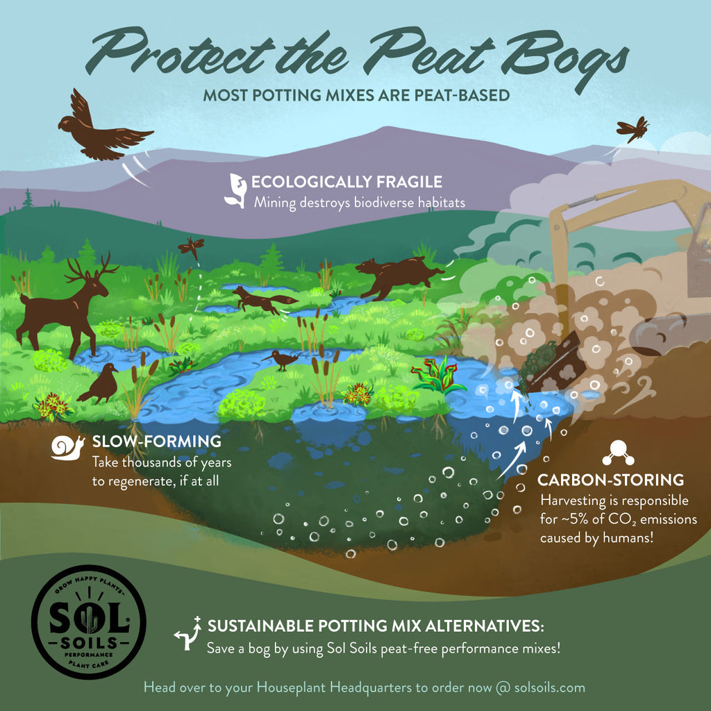 Houseplant Chunky Mix - Sol Soils