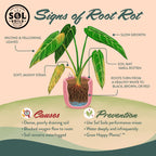 Cactus Gritty Mix - Sol Soils