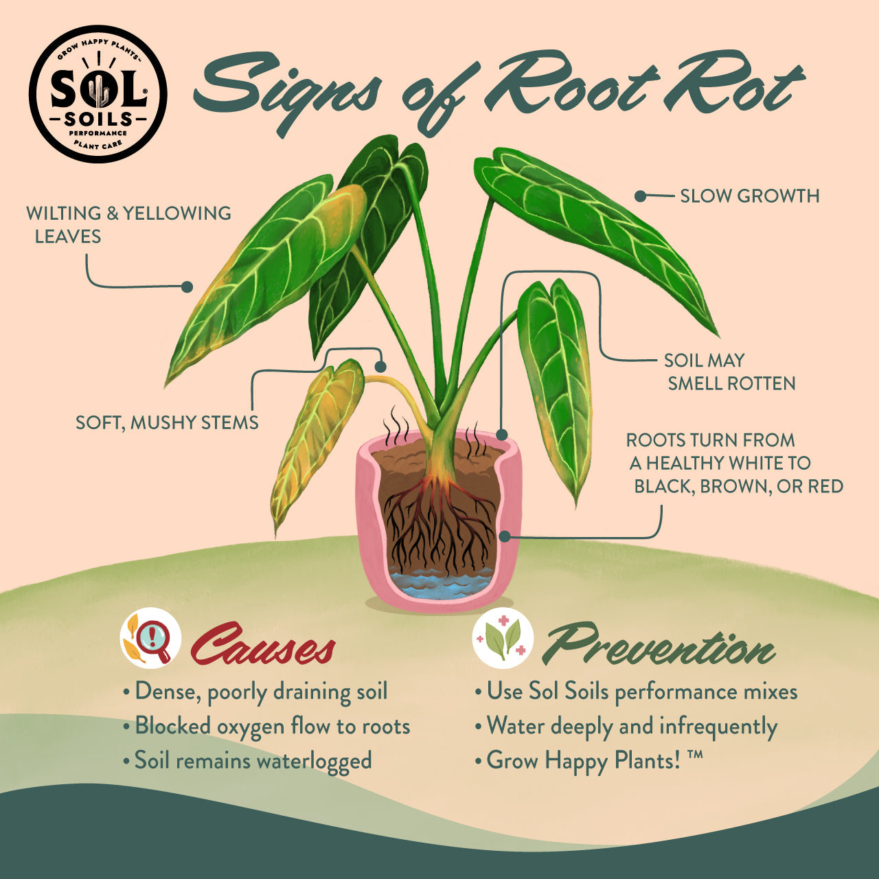 Cactus Gritty Mix - Sol Soils