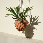 The Creature Orb Hanging Planter - For Hanging Plants