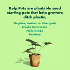 Ocean Made Kelp Pots - 3 Inch Round, Biodegradable