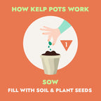 Ocean Made Kelp Pots - 3 Inch Round, Biodegradable