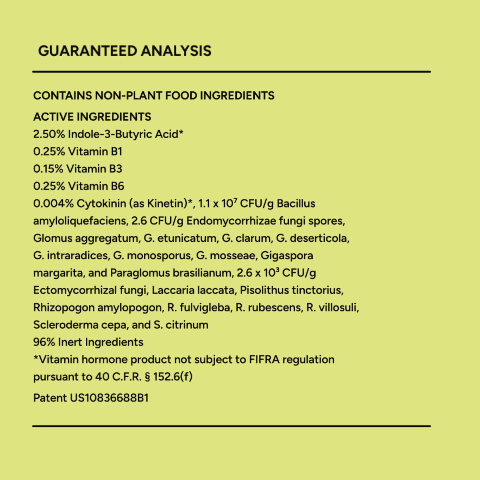 It's Not Dead Yet Plant Food - Soluble Plant Food for Indoor and Outdoor