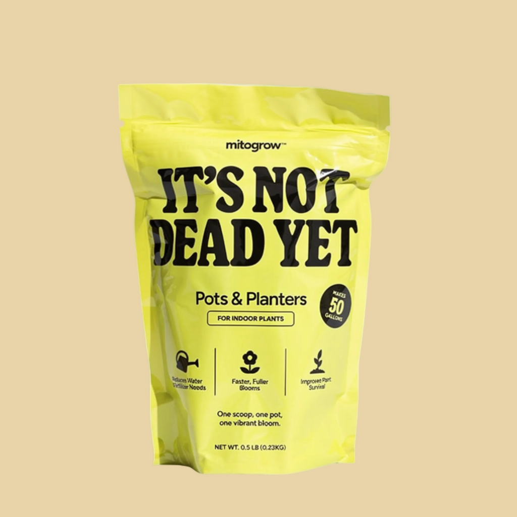 Yellow bag of mitogrow product with text 'It's Not Dead Yet' on a white background