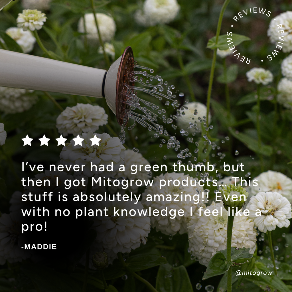It's Not Dead Yet Plant Food - Soluble Plant Food for Indoor and Outdoor