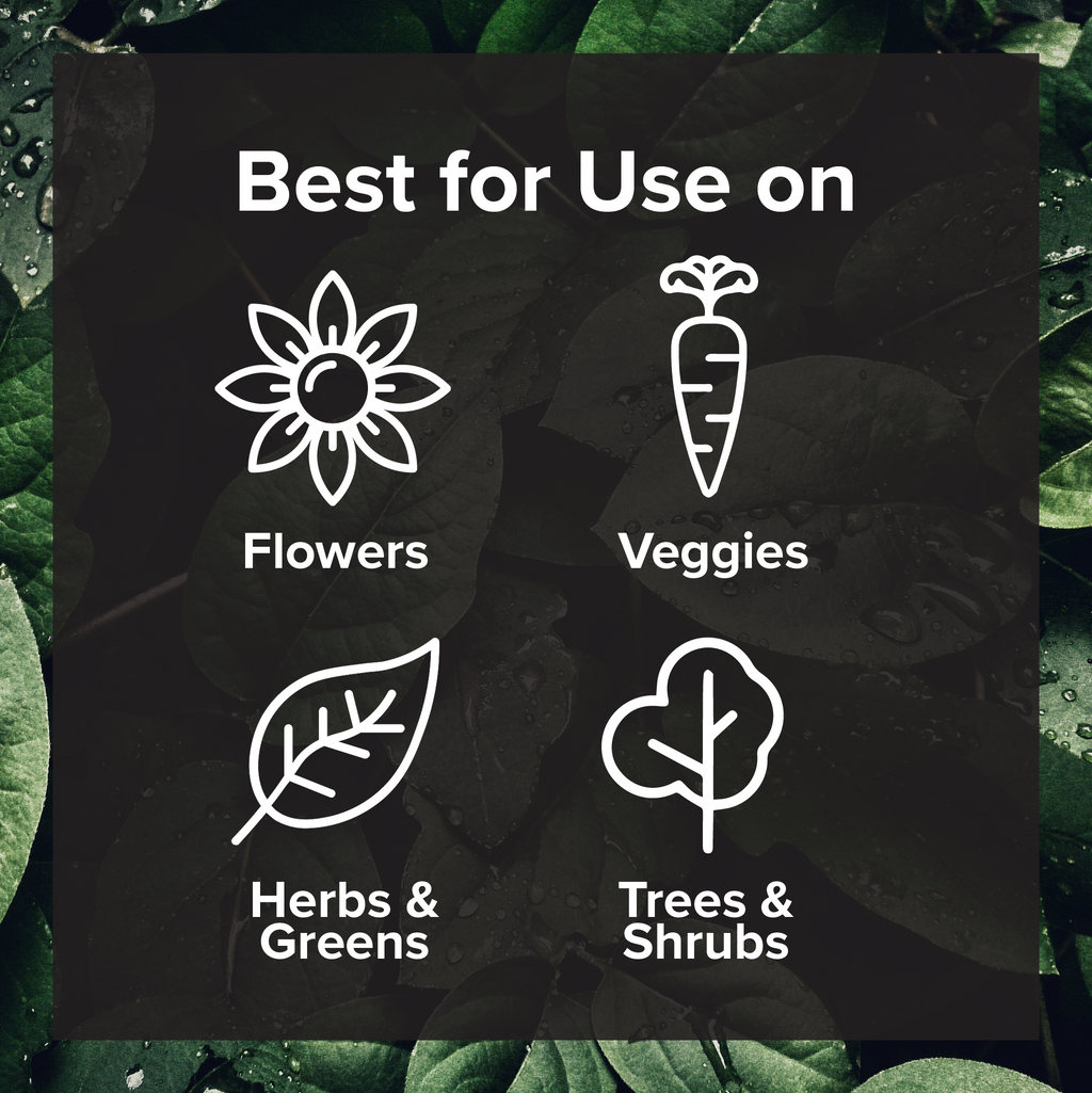 Black Magic Biochar - Premium Additive