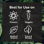 Black Magic Biochar - Premium Additive