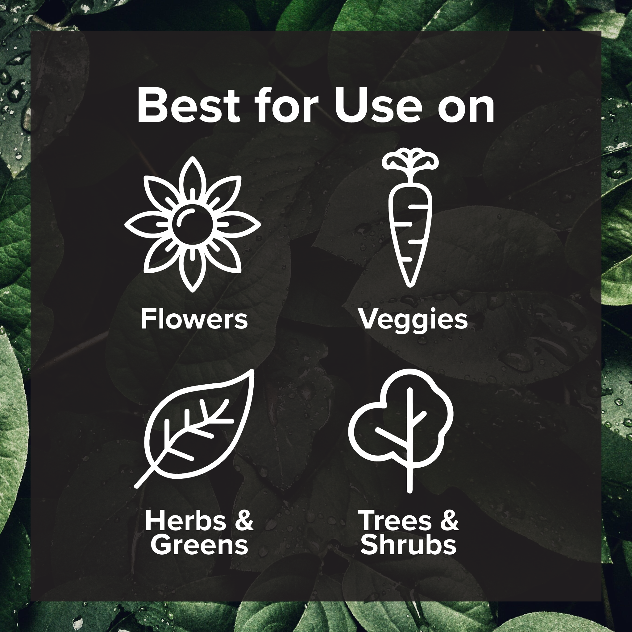 Black Magic Biochar - Premium Additive