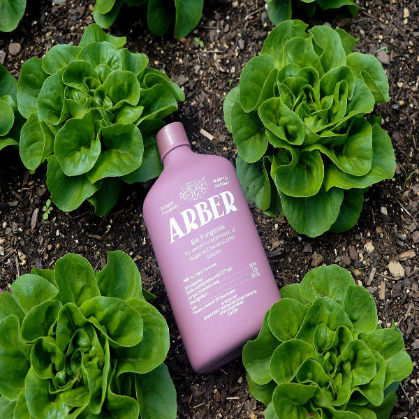 Organic Bio Fungicide - Arber for Disease