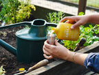 Organic Bio Insecticide - Arber for Pests