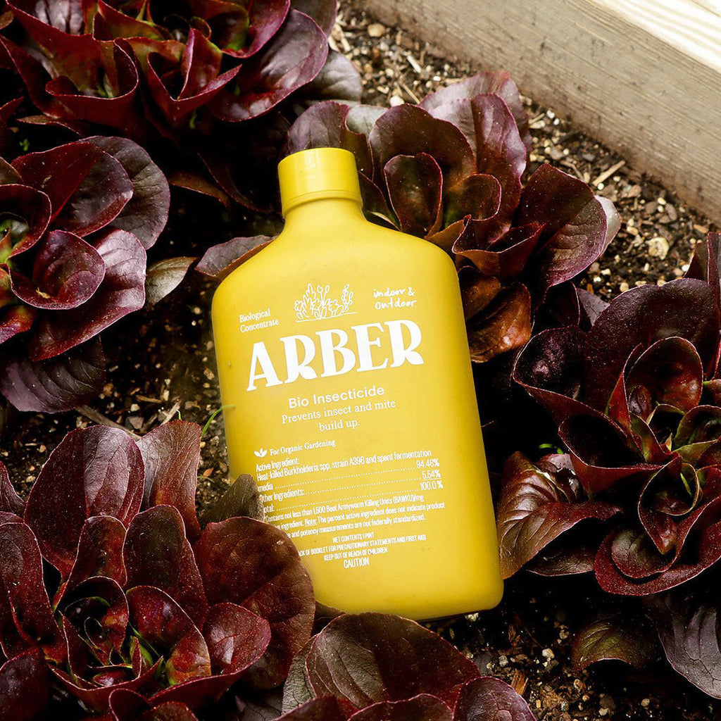 Organic Bio Insecticide - Arber for Pests