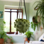The Creature Orb Hanging Planter - For Hanging Plants